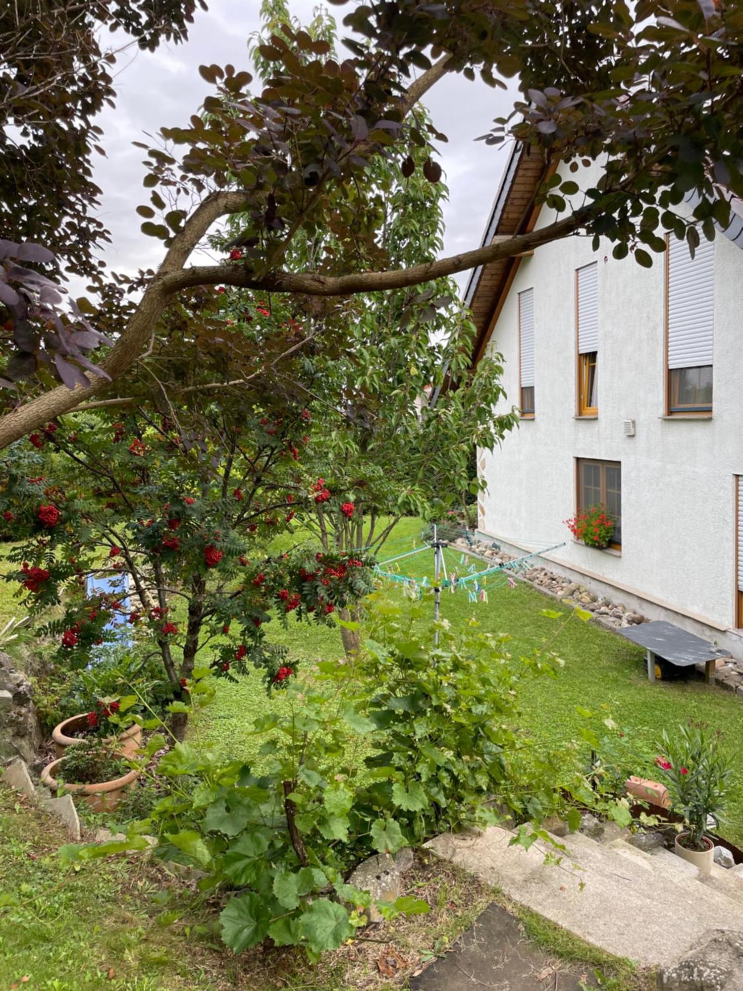 Innas Ambiente Hehlen Exteriér fotografie